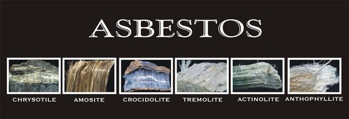 asbestos fibers.jpg